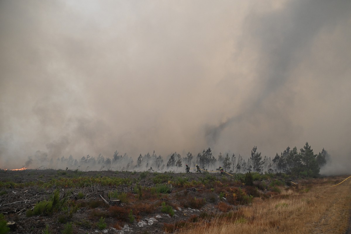 Incêndios Florestais: Mais de 250 mil evacuados na França e Espanha