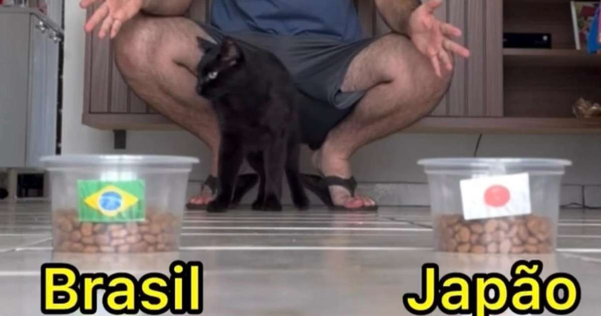 Copa do Mundo 2026: Gato Milu Faz Previsão para Brasil x Japão e Agita Torcida