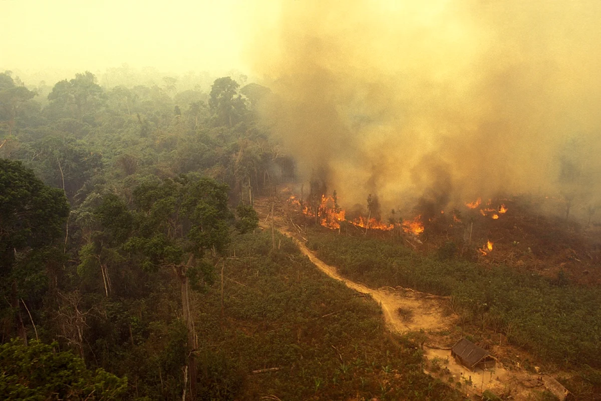 IA contra o fogo: sistema antecipa incêndios na Amazônia em duas semanas