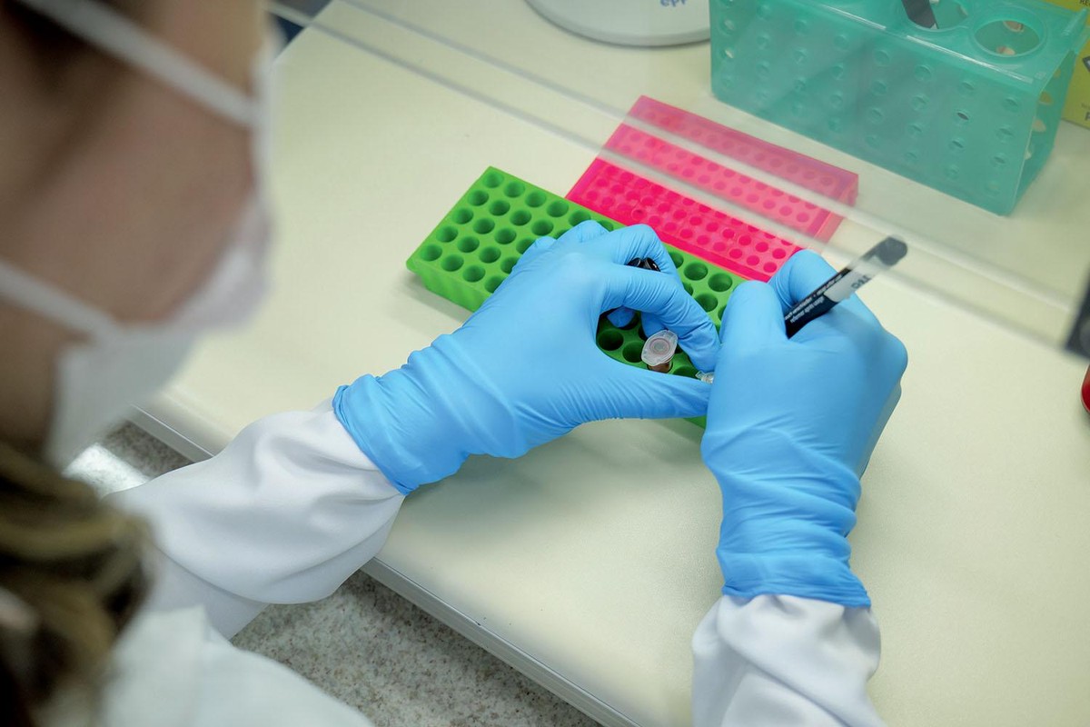 Terapia CAR-T no Brasil: Resultados Impressionantes em Leucemia e Linfoma