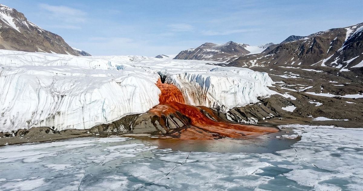 Blood Falls: O Mistério da Cachoeira de Sangue da Antártida Revelado