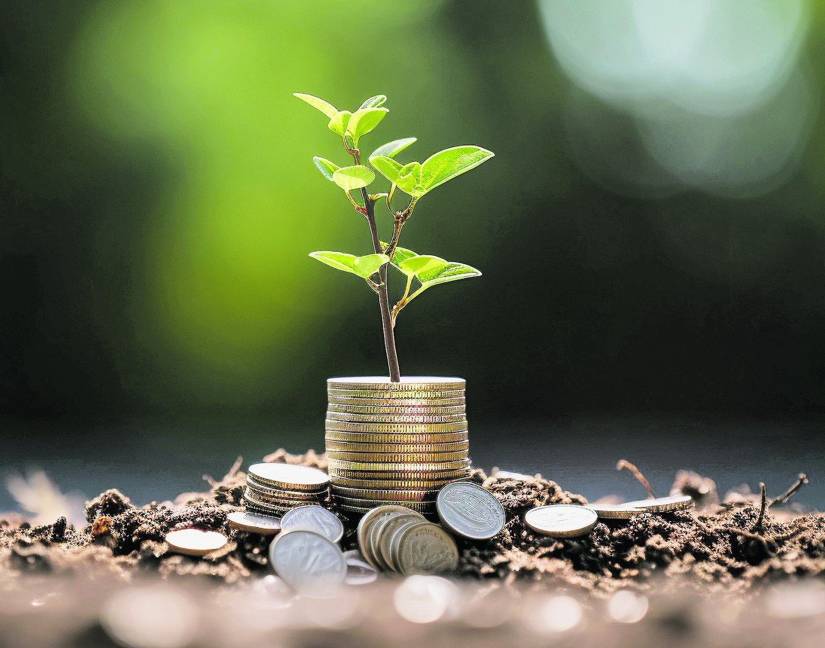 Bioeconomia no Brasil avança com estratégias de inovação tecnológica