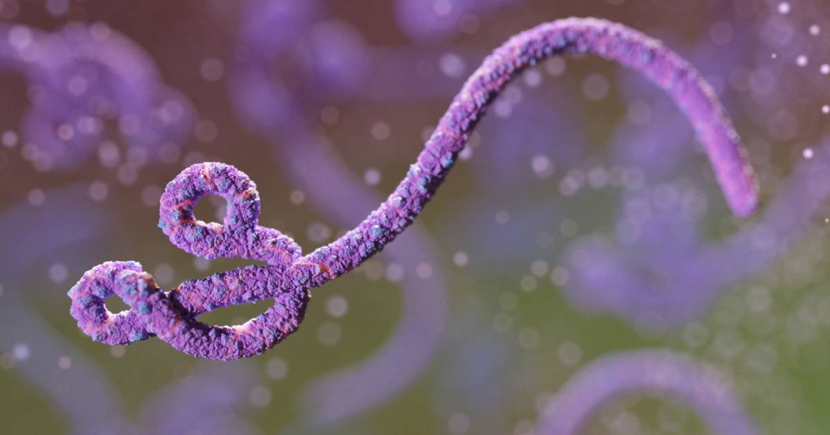 Ebola Bundibugyo: Congo inicia testes de vacina em surto letal